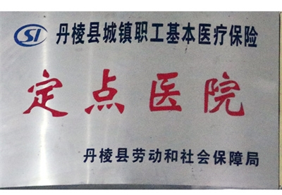 丹棱县城镇职工基本医疗保险定点医院