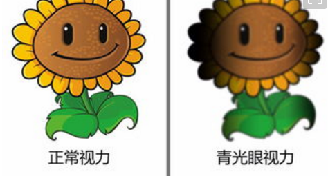 青光眼能治好吗，青光眼，眼压升高，视力下降，.png