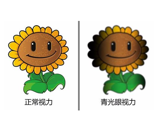 青光眼，青光眼治疗，青光眼诊断，眼科，眼耳鼻咽喉.png