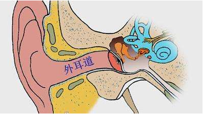 外耳道炎，外耳道灼热，耳鸣，鼓膜，听力下降.png